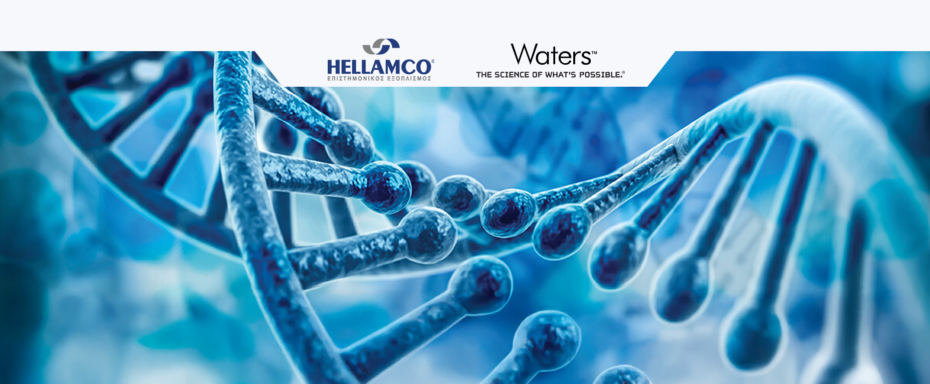 Expanding the Mass Spectrometry and Informatics Toolsets for Comprehensive Analysis of Large RNA Constructs